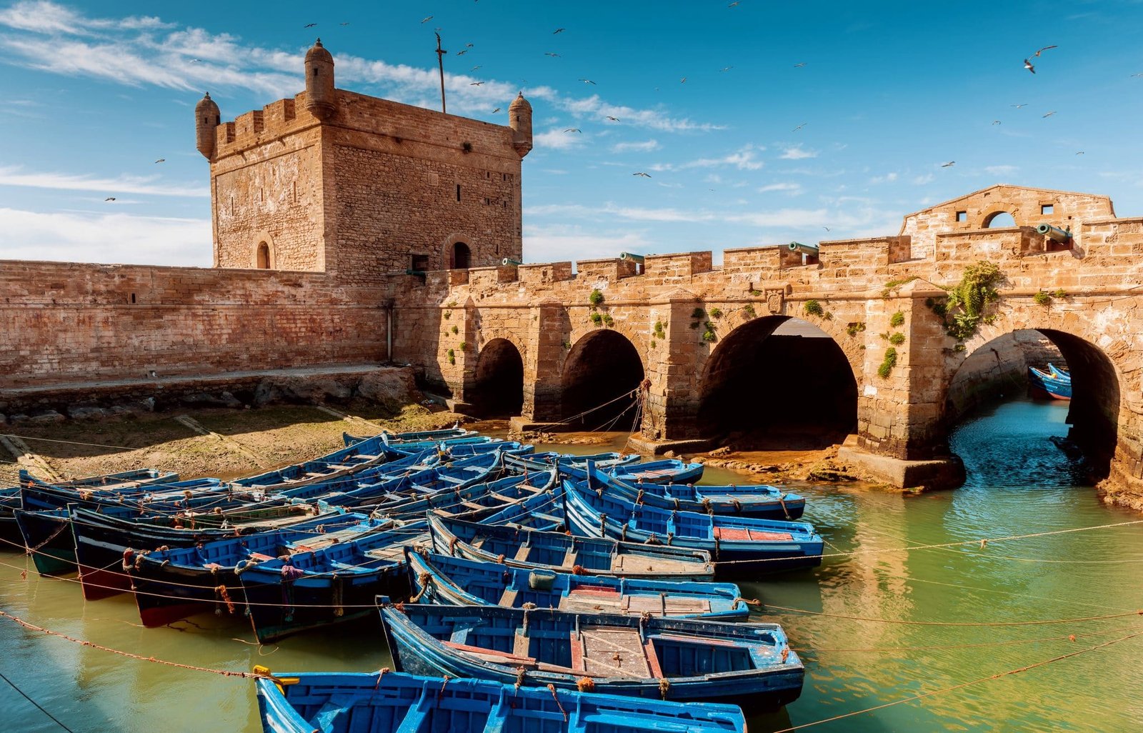 Essaouira citadel day trip from Marrakech
