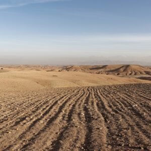 Agafay Desert Experience