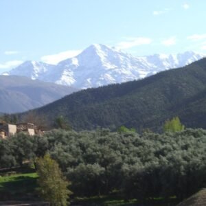 Atlas Mountains & Berber Villages