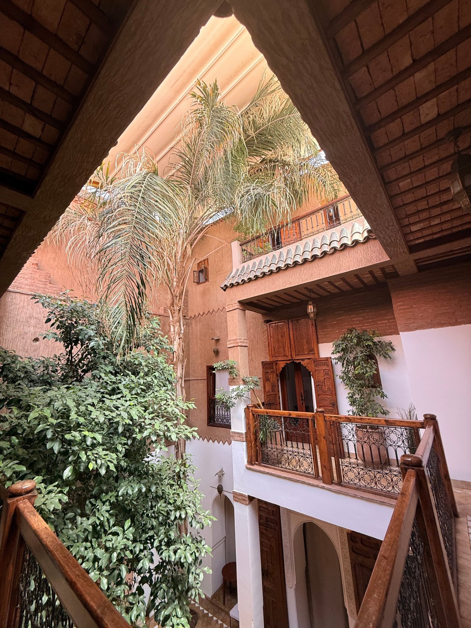 Riad Carina photo 4