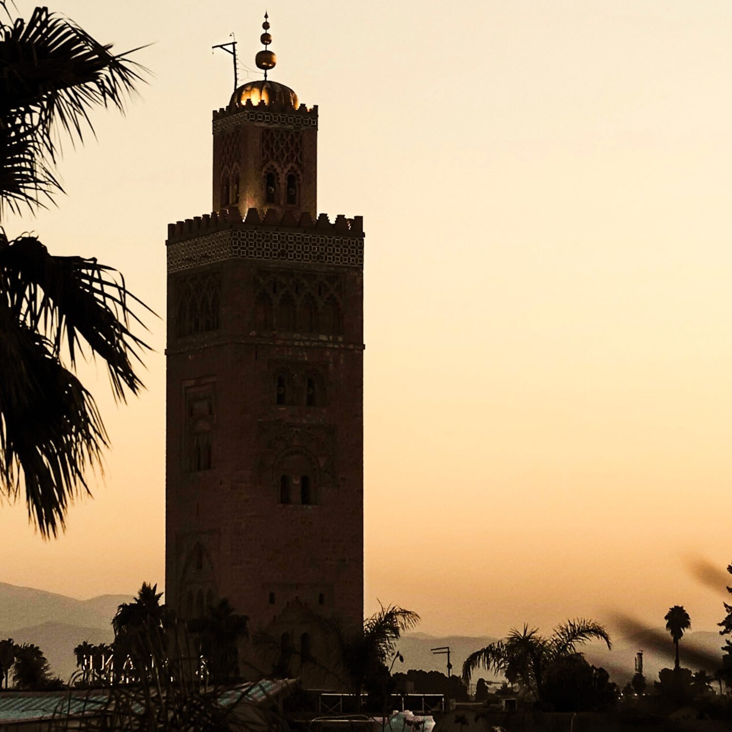 Riad Sakkan gallery