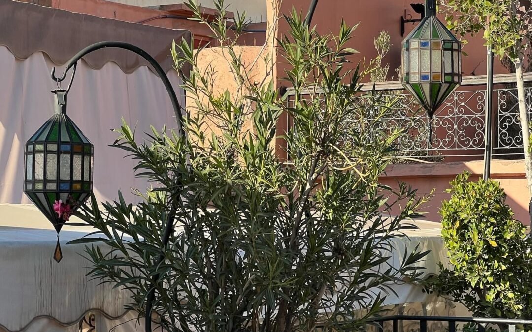 Riad Andalla — room