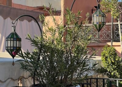 Riad Andalla — room